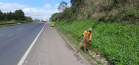 Serviços de conservação do pavimento e da faixa de domínio da PR-151 entre Ponta Grossa e Sengés