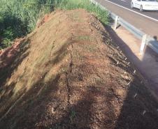 Obra emergencial na PR-323 em Umuarama concluída