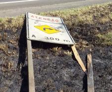 Governo alerta para os perigos causados pelo vandalismo de placas. Foto: Divulgação/DER