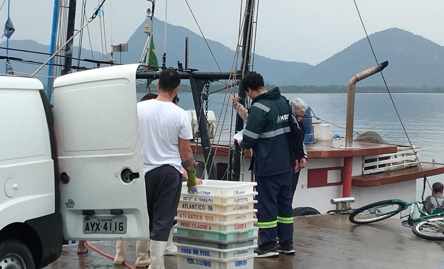 Acompanhamento técnico da atividade pesqueira na Baía de Guaratuba